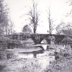 Downstream at Bridge 1900