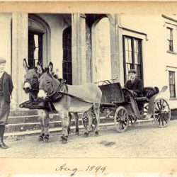 Leaving to pickup visitors at Bansha Railway station 1899